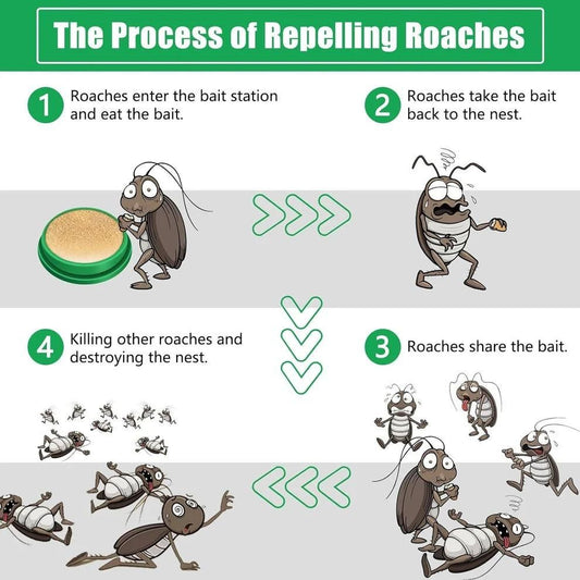 Cockroach Killer Powder Gel (Pack of 24pc)