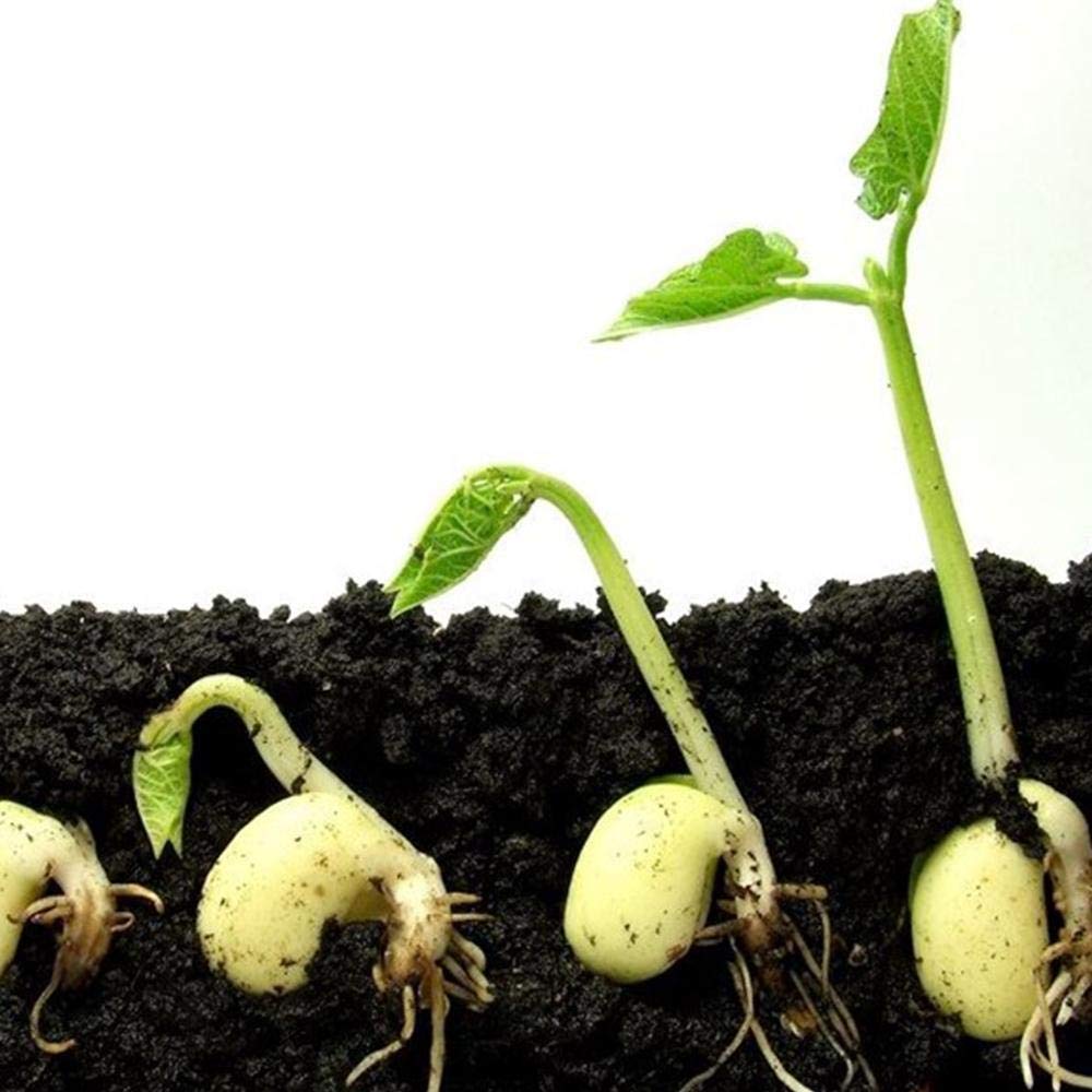 Organic Vermicompost 500gm