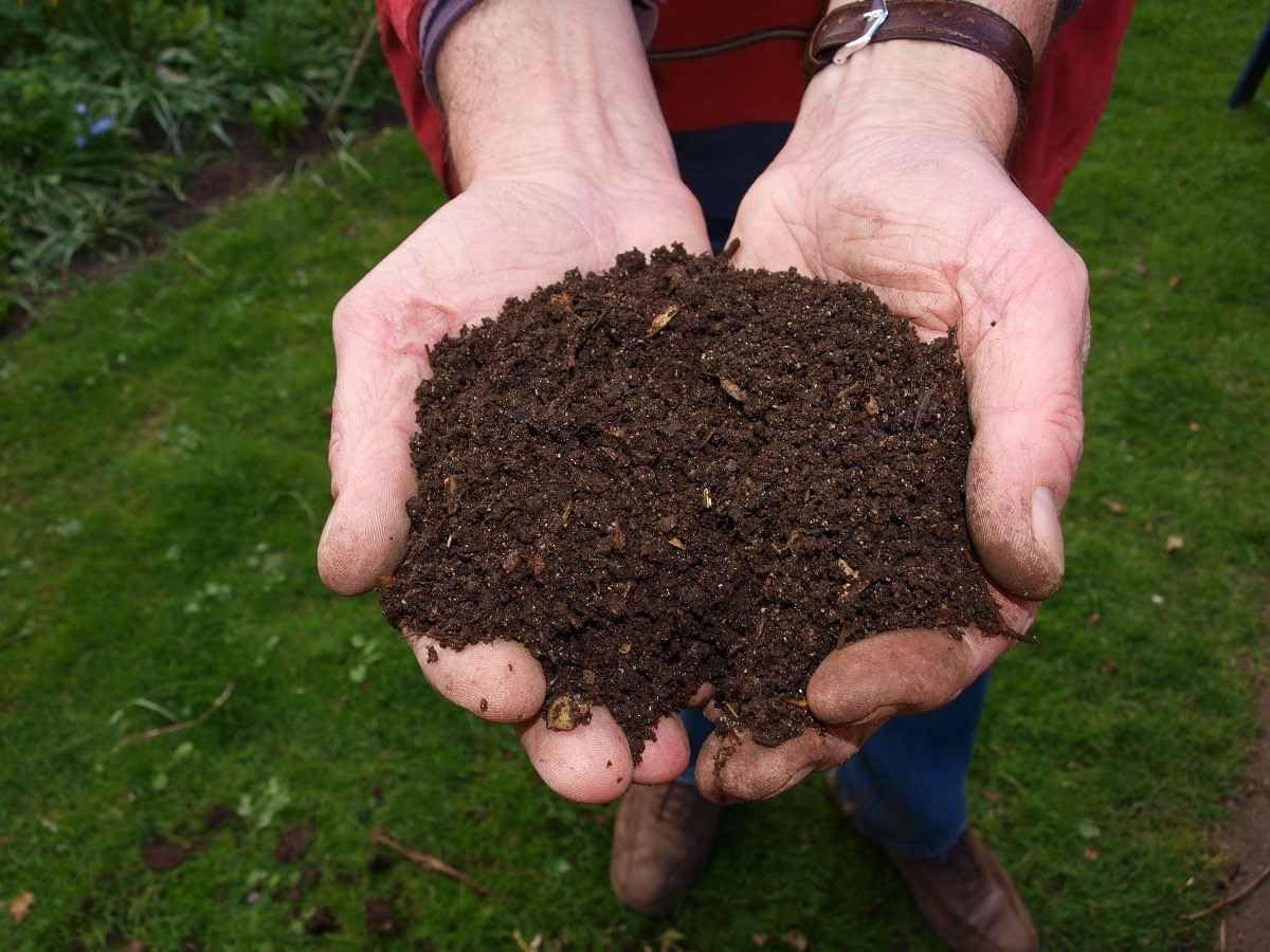 Organic Vermicompost 500gm
