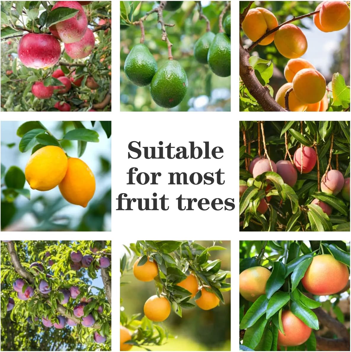 1 Set Fruit Picker Fruit Picking Tool